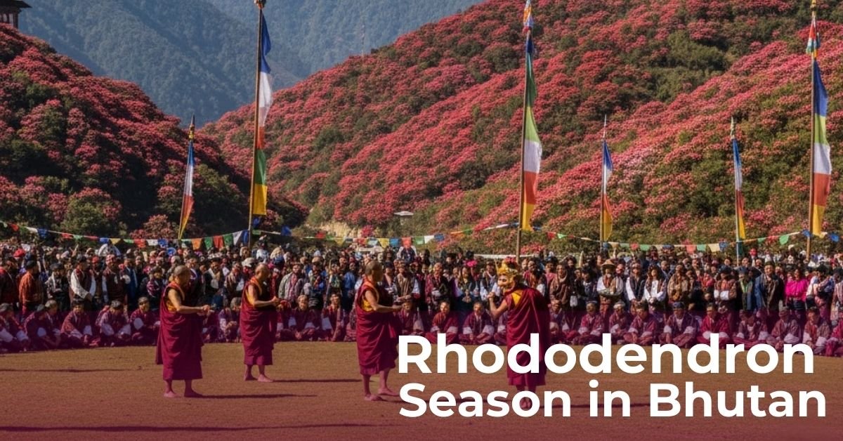 Rhododendron Season in Bhutan: A Complete Travel Guide by Teem Teem Travel Bhutan