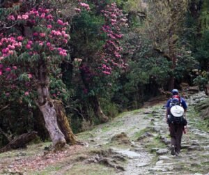 Royal-Botanical-Park-Lamperi.jpg