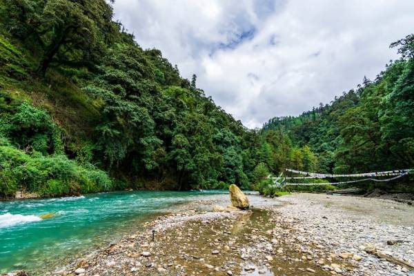 JIGME DORJI NATIONAL PARK- Teem Travel Bhutan